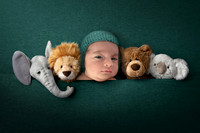 Newborn Digital Backdrop - Lauree Jane Photography, LLC