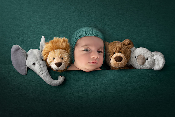 Newborn Digital Backdrop - Lauree Jane Photography, LLC