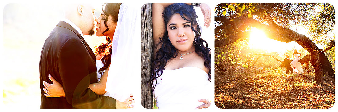 wedding reviews testimonials and thanks yous best orange county wedding photographer photography